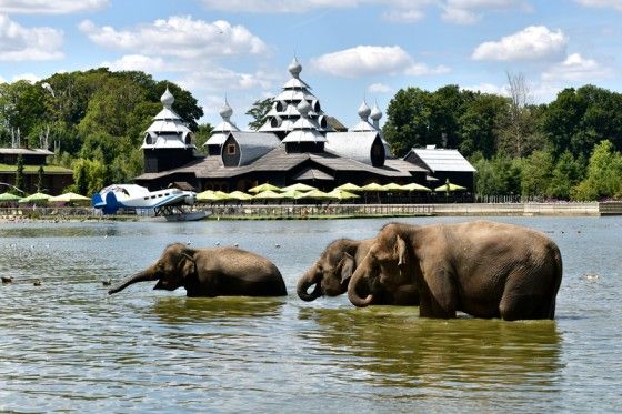 PAIRI DAIZA - DÉPART DE LA RÉGION DE LIÈGE