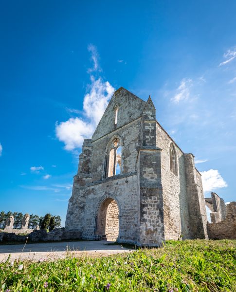 LES MERVEILLES VENDÉENNES