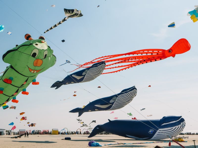 RENCONTRE INTERNATIONALE DES CERFS-VOLANTS À BERCK-SUR-MER