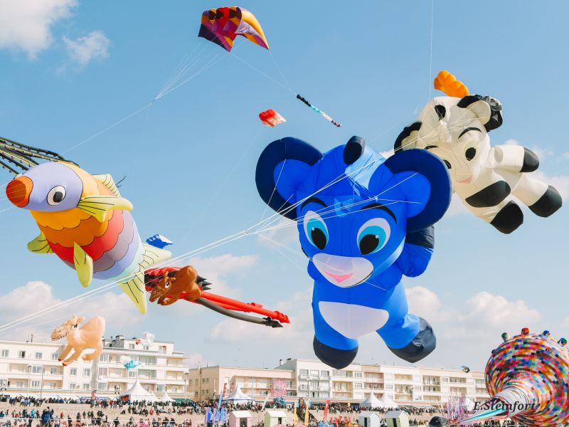 RENCONTRE INTERNATIONALE DES CERFS-VOLANTS À BERCK-SUR-MER