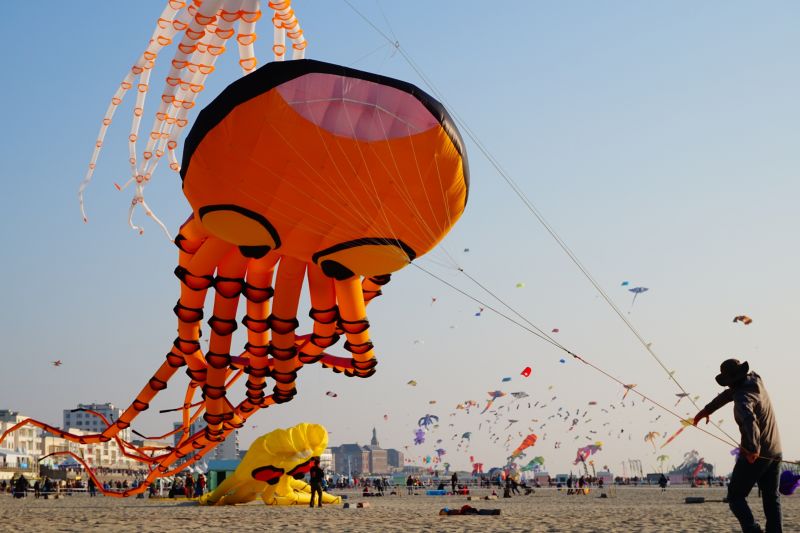RENCONTRE INTERNATIONALE DES CERFS-VOLANTS À BERCK-SUR-MER