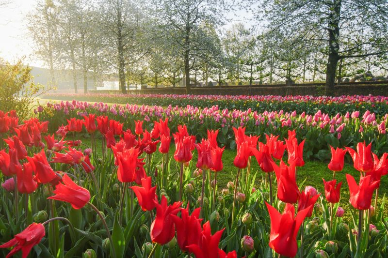 KEUKENHOF - DÉPART DE LA RÉGION DE LIÈGE