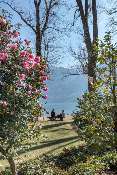 LES LACS ITALIENS & LA FÊTE DES CAMÉLIAS