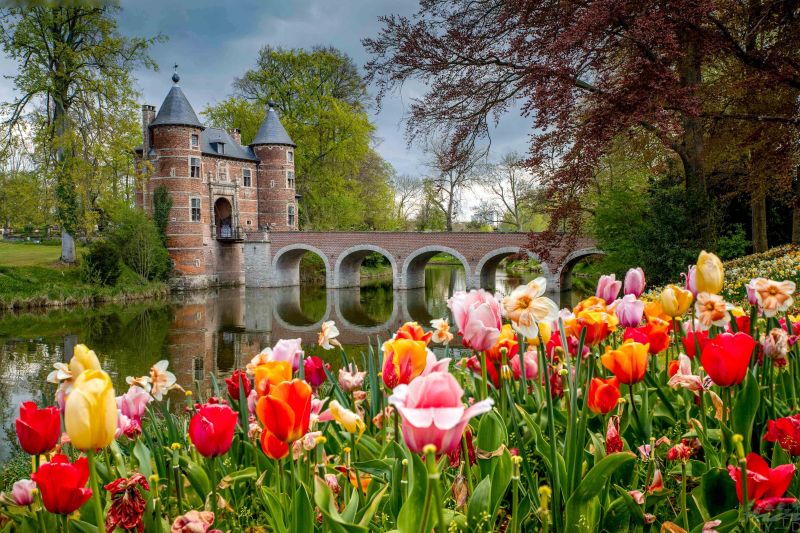 FLORALIA AU CHÂTEAU DE GRAND BIGARD & BRUXELLES 