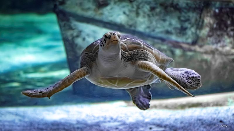 LA SAINT-VALENTIN SUR LA CÔTE D’AMOUR EN BRETAGNE DU SUD