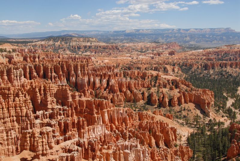 WILD WIDE WEST & COTE OUEST 2026