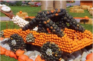 PUMPKIMANIA AU CHÂTEAU DE GRAND BIGARD & BRUXELLES