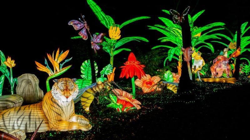 MARCHÉ DE NOËL DU LUXEMBOURG & LE FESTIVAL LUMINESCENCE D'AMNÉVILLE 