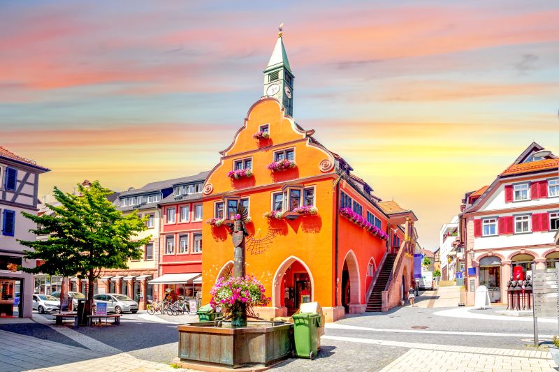 LA FÊTE DES CHRYSANTHÈMES & LA FORÊT NOIRE