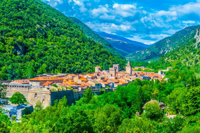 AU COEUR DES PYRENEES & SON PETIT TRAIN JAUNE 