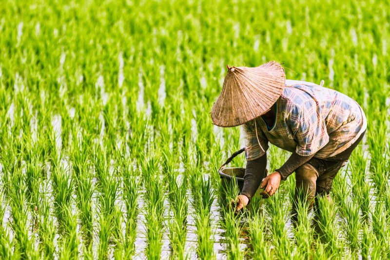 L'ESSENTIEL DU VIETNAM & ANGKOR 2027