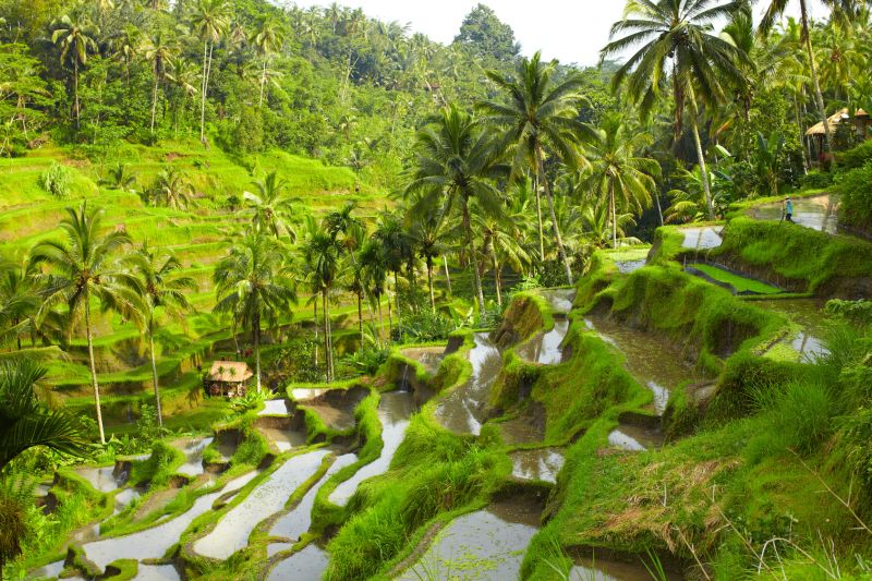 SECRETS DE JAVA & BALI 2027