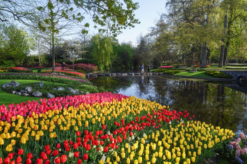 LE PARC FLORAL DE KEUKENHOF - DÉPART DE LA RÉGION D'ARLON