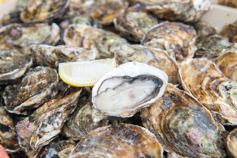 NOËL EN BRETAGNE DU NORD & LE MONT SAINT MICHEL